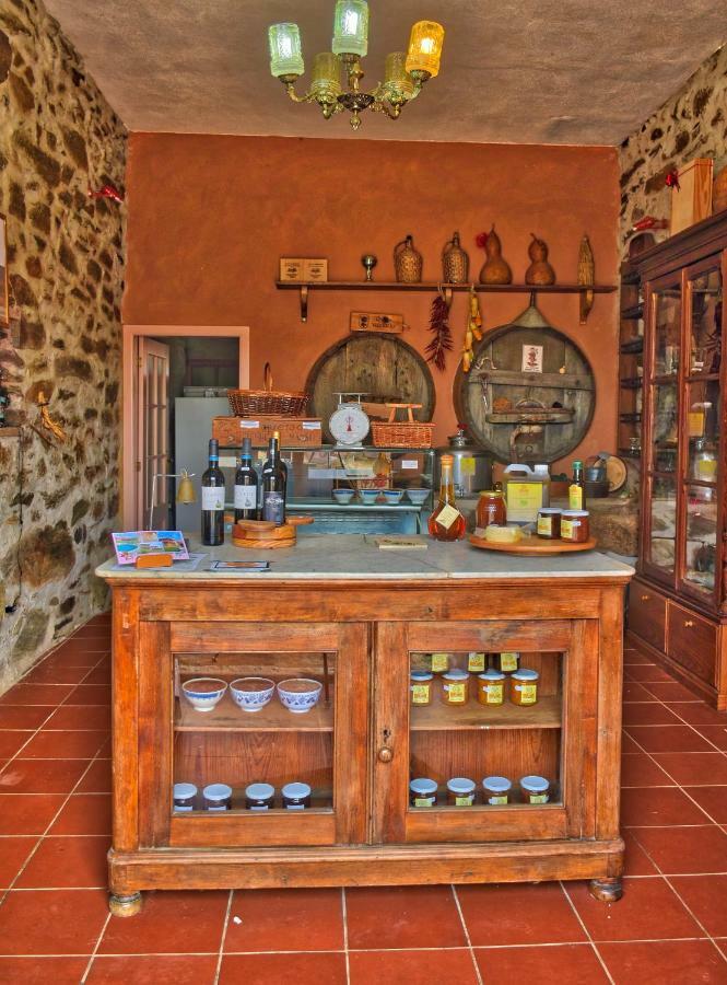 Quinta Do Barracao Da Vilarica Lodoes ภายนอก รูปภาพ